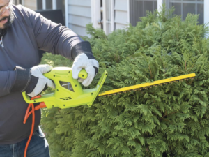Electric Hedge Trimming