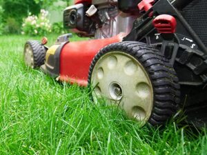 Lawn Mowing (per square foot)