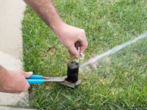 Irrigation System Inspection (part of subscription)