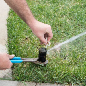 Irrigation System Inspection (part of subscription)