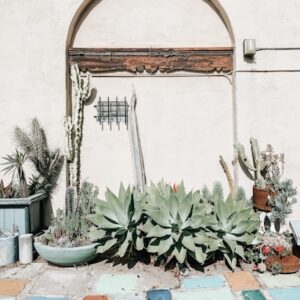 Landscaping Design Consultation