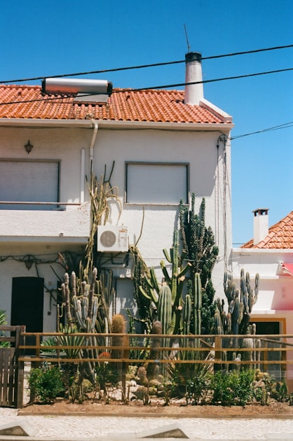 The Importance of Landscape Maintenance